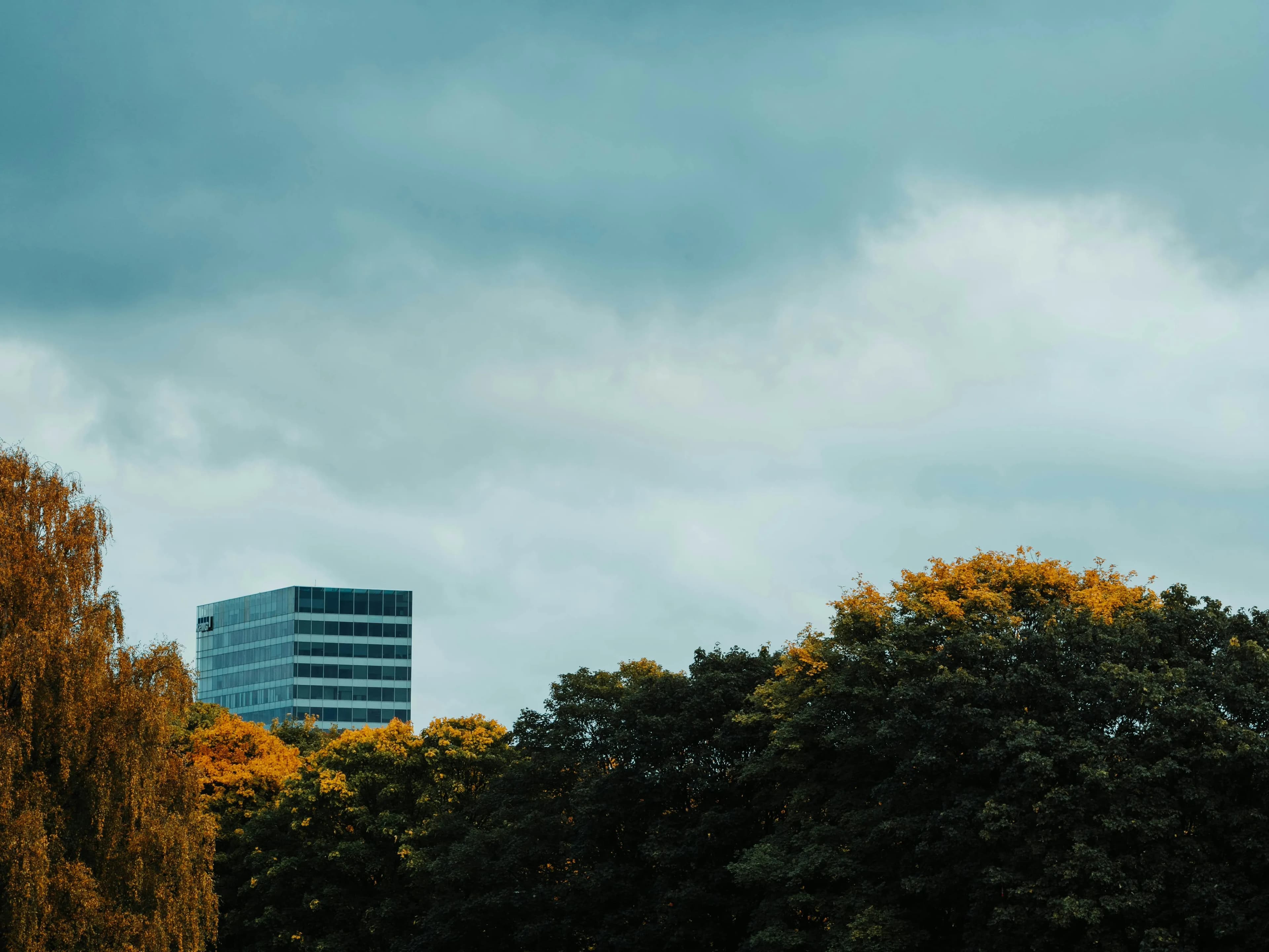 image_about_1